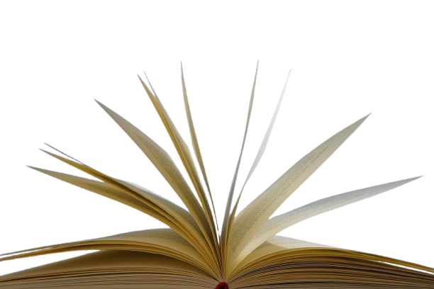 BgRemover gallery image