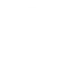 Chess Report