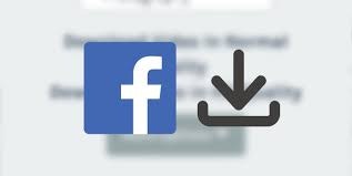 facebook video downloader