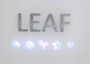 Leaf gallery image