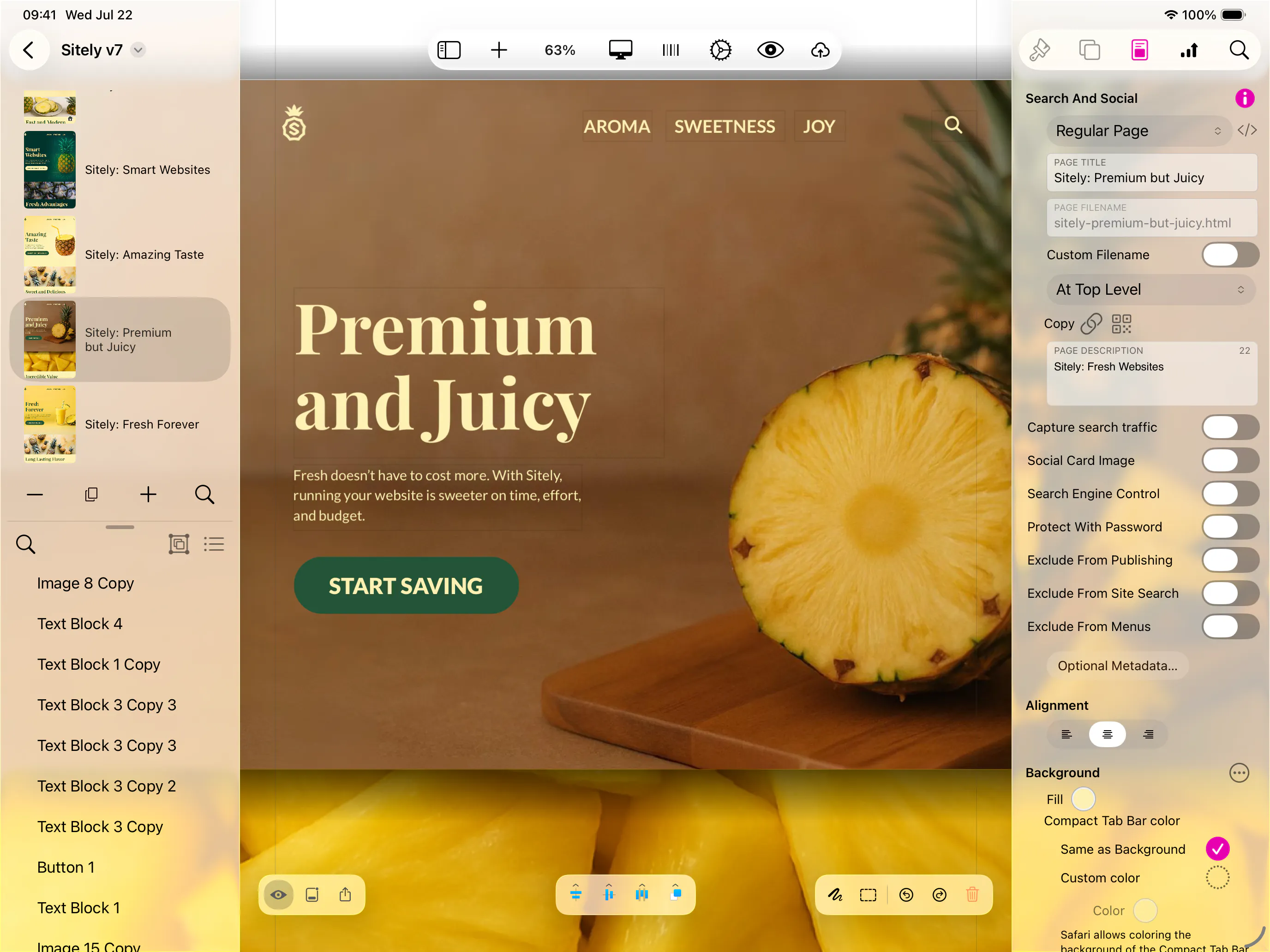 Sitely iPad AI+Visual Website Builder 截图 5