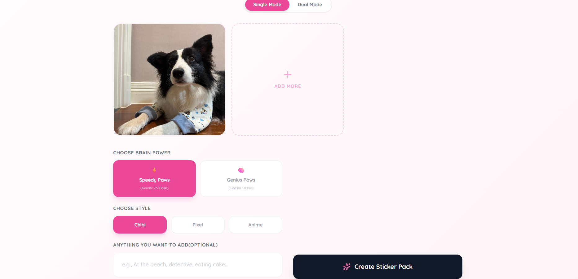 Paws & Patches gallery image