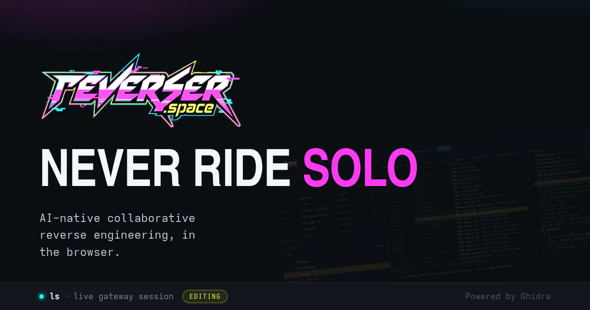 reverser.space gallery image