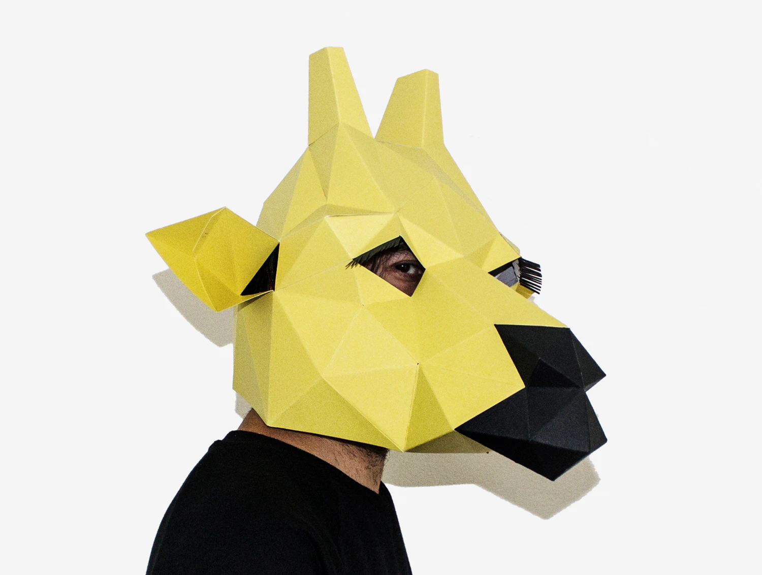 Lapa Studios Image