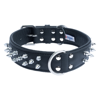 Amsterdam Dog Multi Line Spiked cổ áo