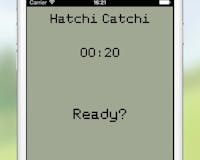 Hatchi media 2