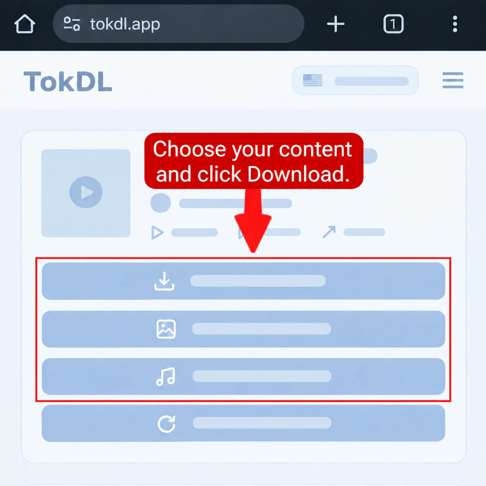TikTok Video Downloader screenshot 3