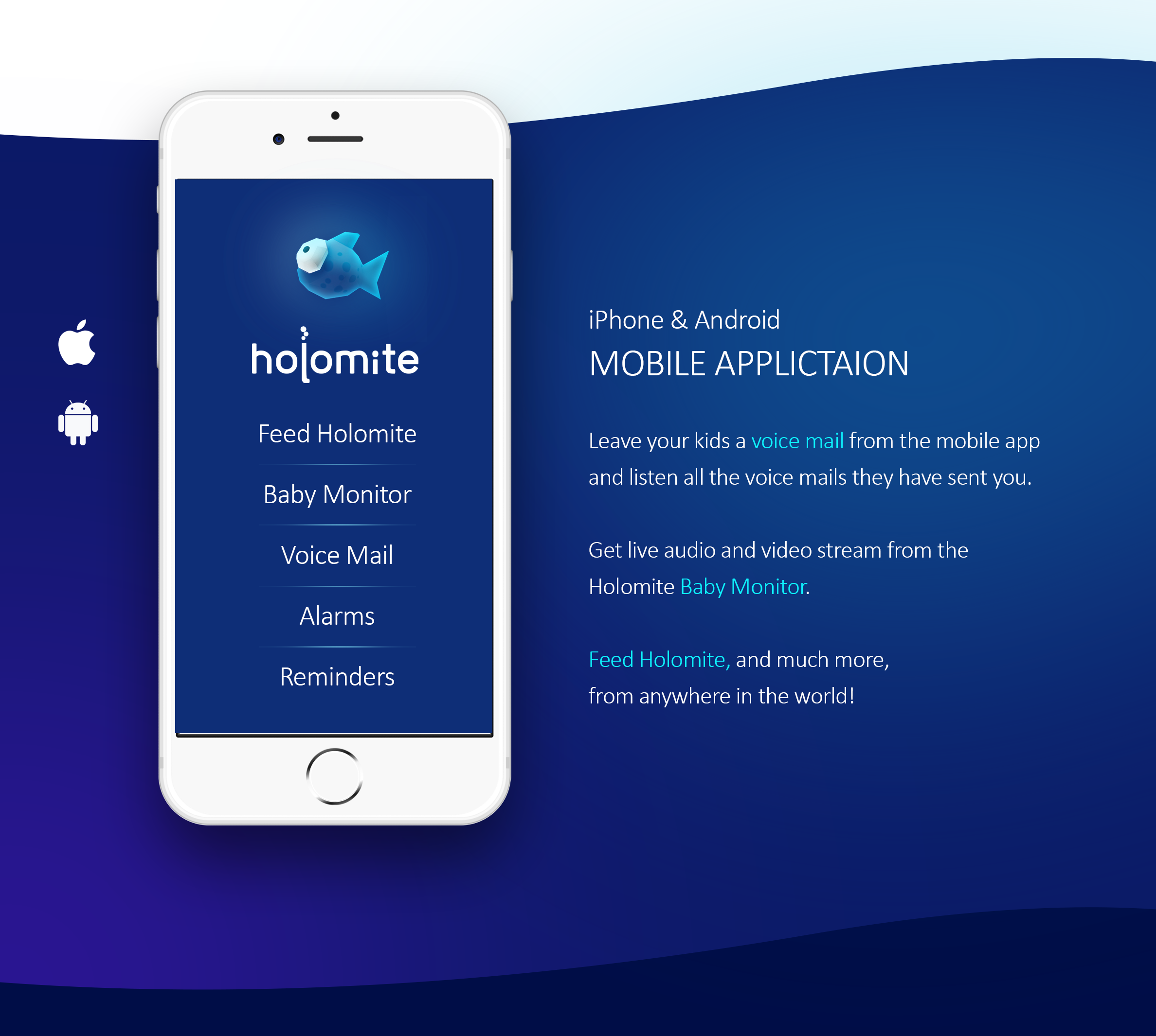 Holomite gallery image