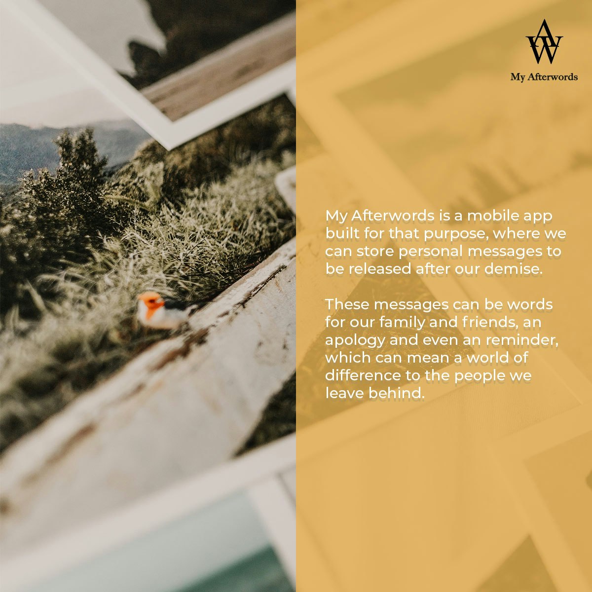 My Afterwords gallery image