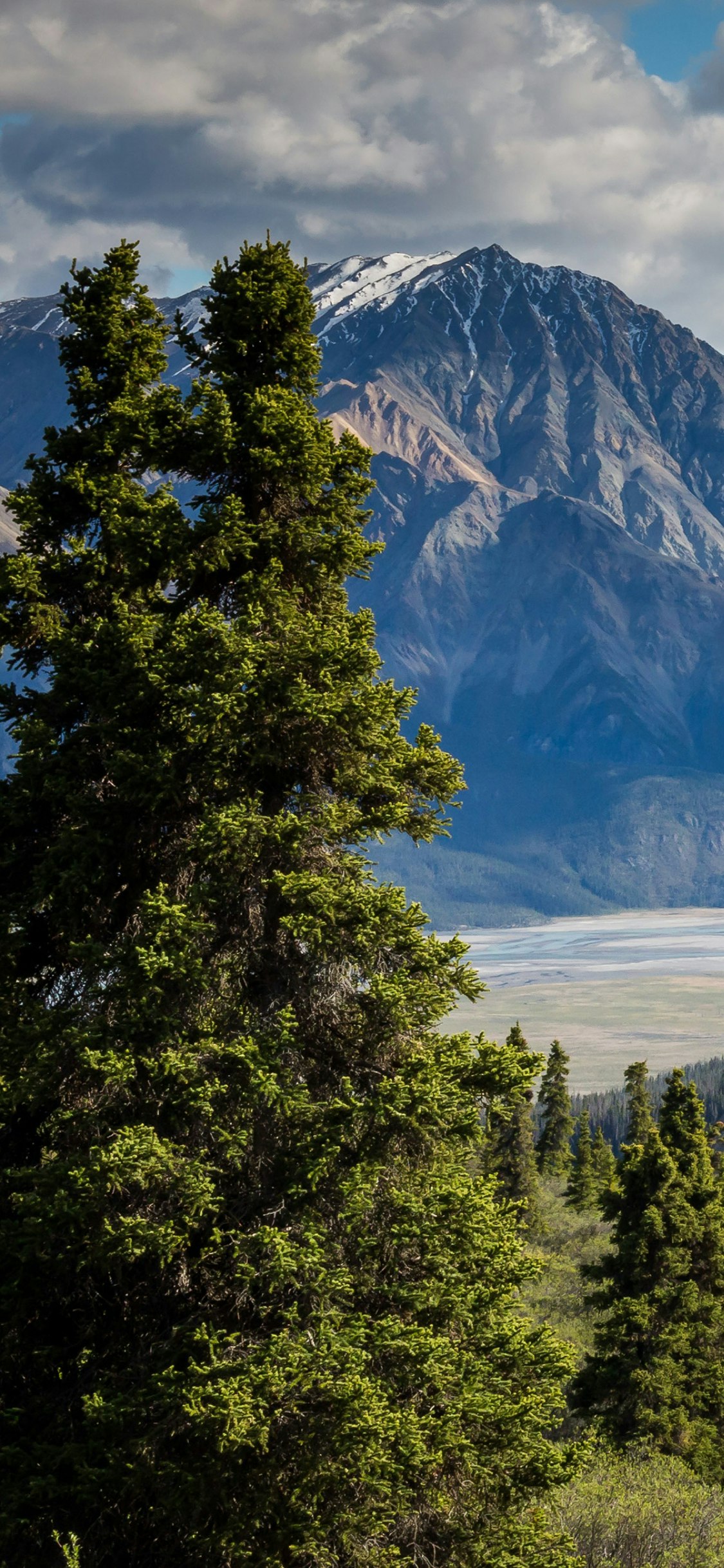 Sense'd - ASMR Stress Relief gallery image