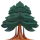 Redwood Releases