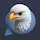 Reviewhawk.ai
