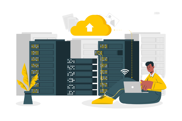 Cheap 256 IPs (/256IP) Dedicated Server