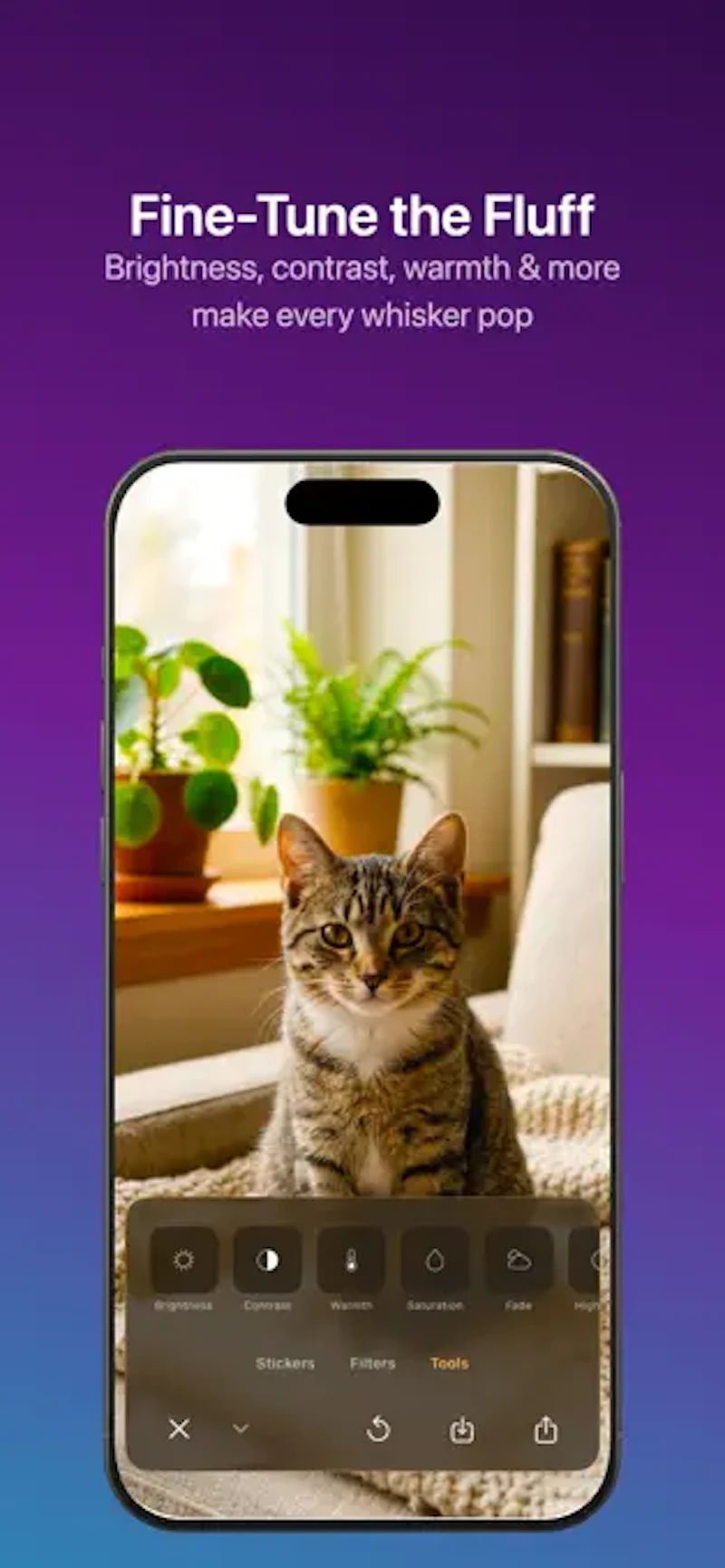 Caticker - Cat Photo Stickers screenshot 5