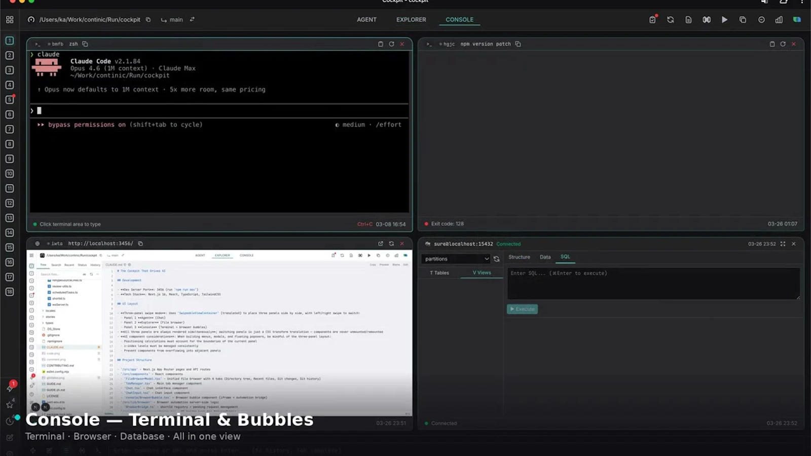 Cockpit screenshot 1 (video preview)
