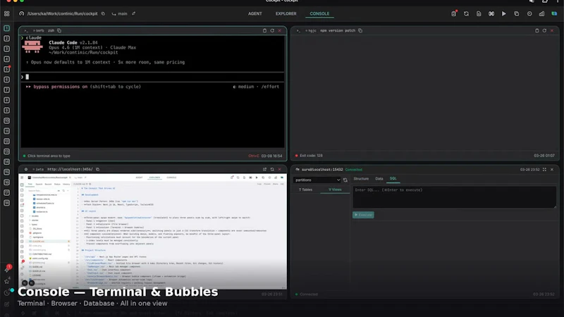 Cockpit screenshot 1 (video preview)