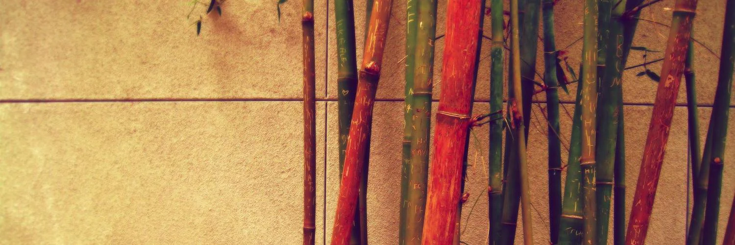 Shruti Kaushik cover