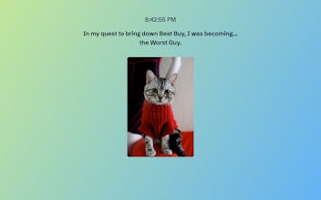 Nathan for You Quotes and Cats gallery image