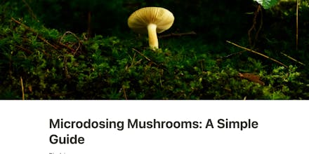 Microdosing Mushrooms: A Simple Guide gallery image