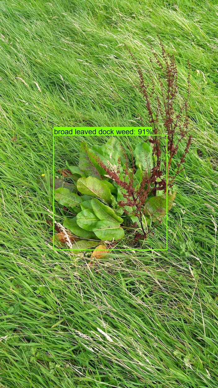 Diffgram gallery image