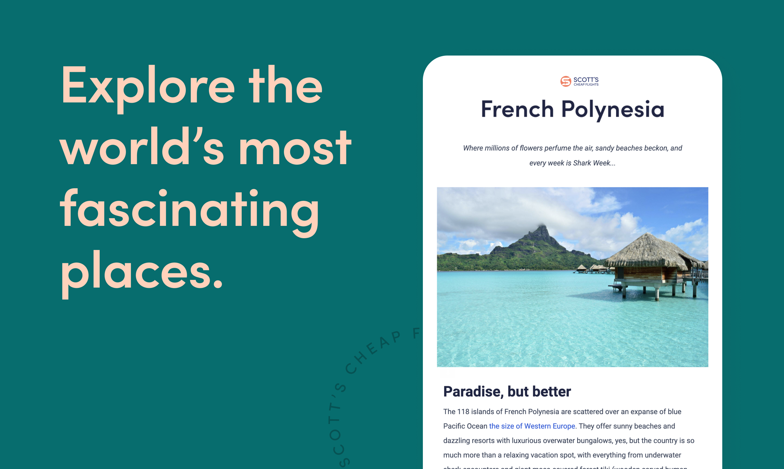 Scott's Cheap Flights gallery image