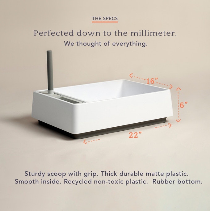 Creepily Realistic 3D Cats gallery image