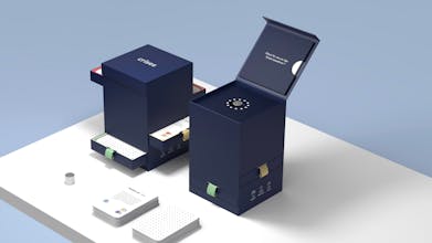 Perspectives in Play gallery image