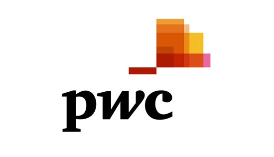 PWC Startup Journey Beta