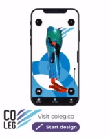 Coleg
