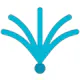 Palma