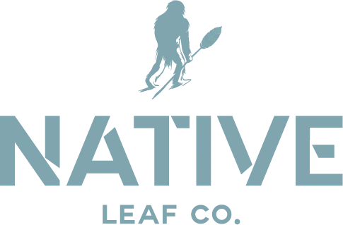 Sidney Quitorio cover