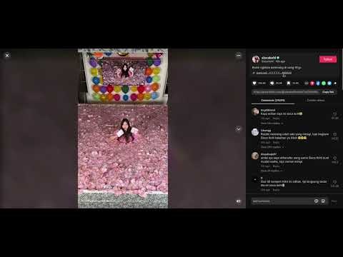 TikTok Video Downloader for WordPress gallery image