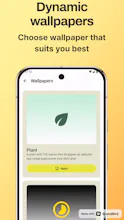 DeScreen gallery image