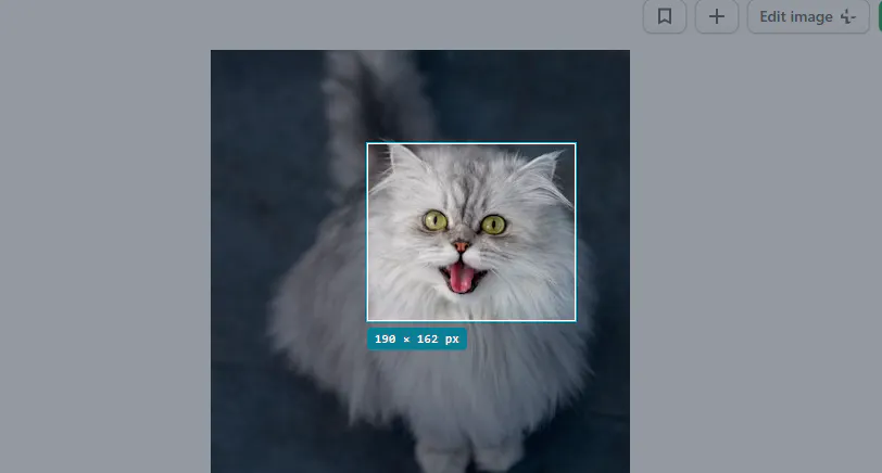 Snapshot — Screenshot Tool gallery image