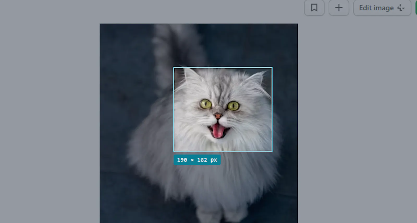 Snapshot — Screenshot Tool screenshot 2