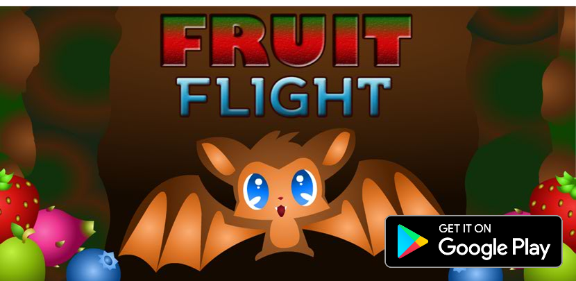 Fruit Flight gallery image