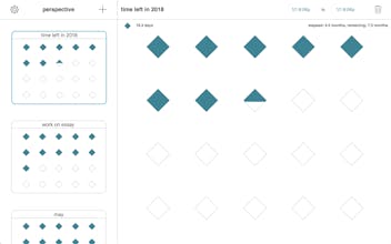 Perspective gallery image