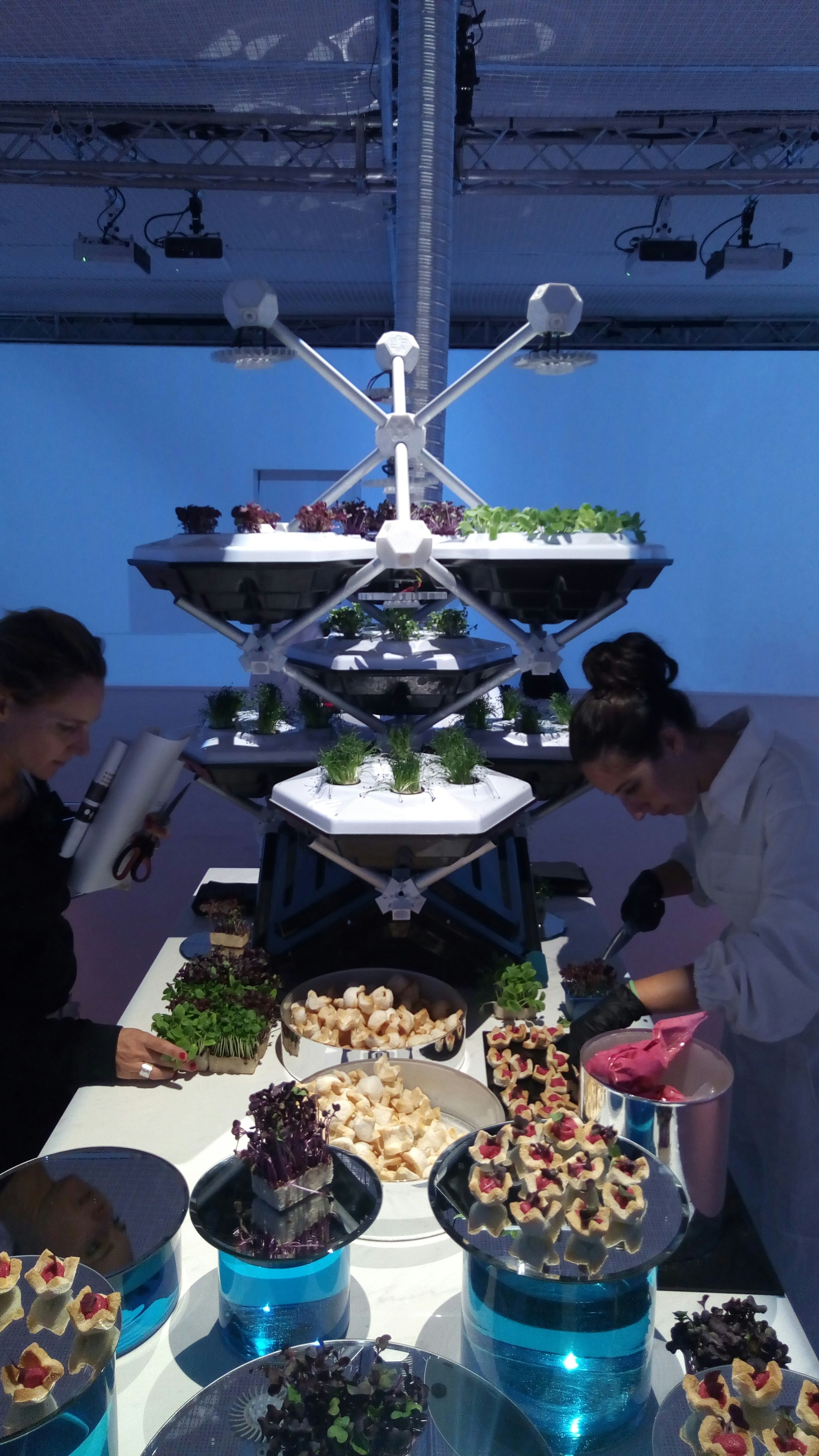 The Living Farming Tree gallery image