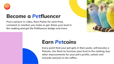 SocialPets gallery image