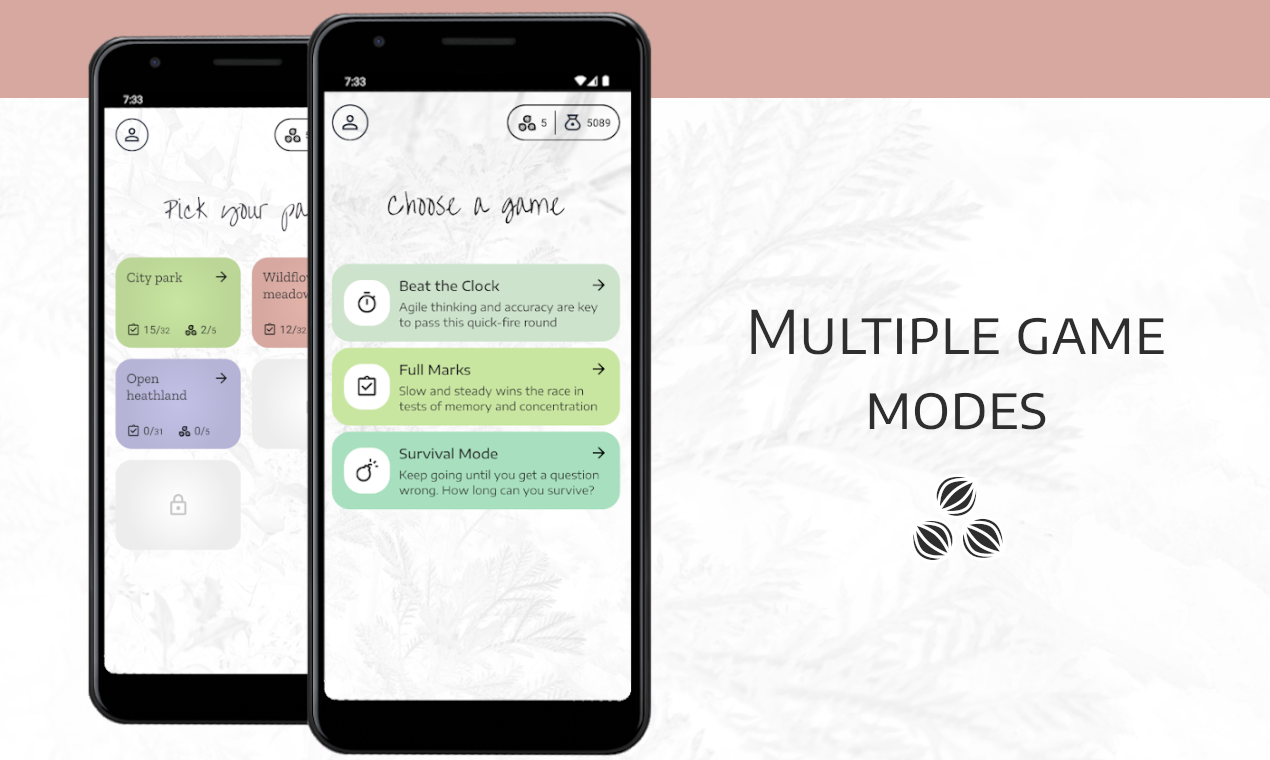 Seed Solver - Version 2 gallery image