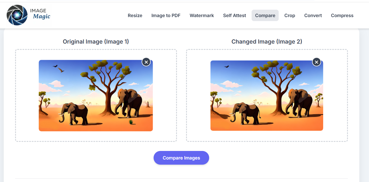 Image Magic gallery image