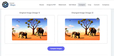 Image Magic gallery image