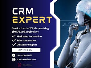 Tenetizer Salesforce Integration Product gallery image