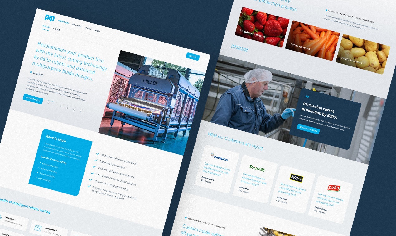 WebFlash - Webflow Design & Development media 3