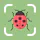 BugPic