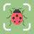 BugPic