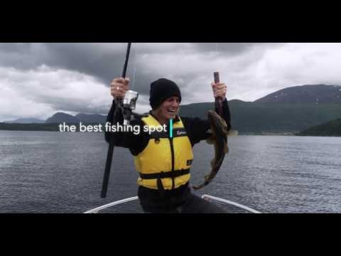 Getmii gallery image