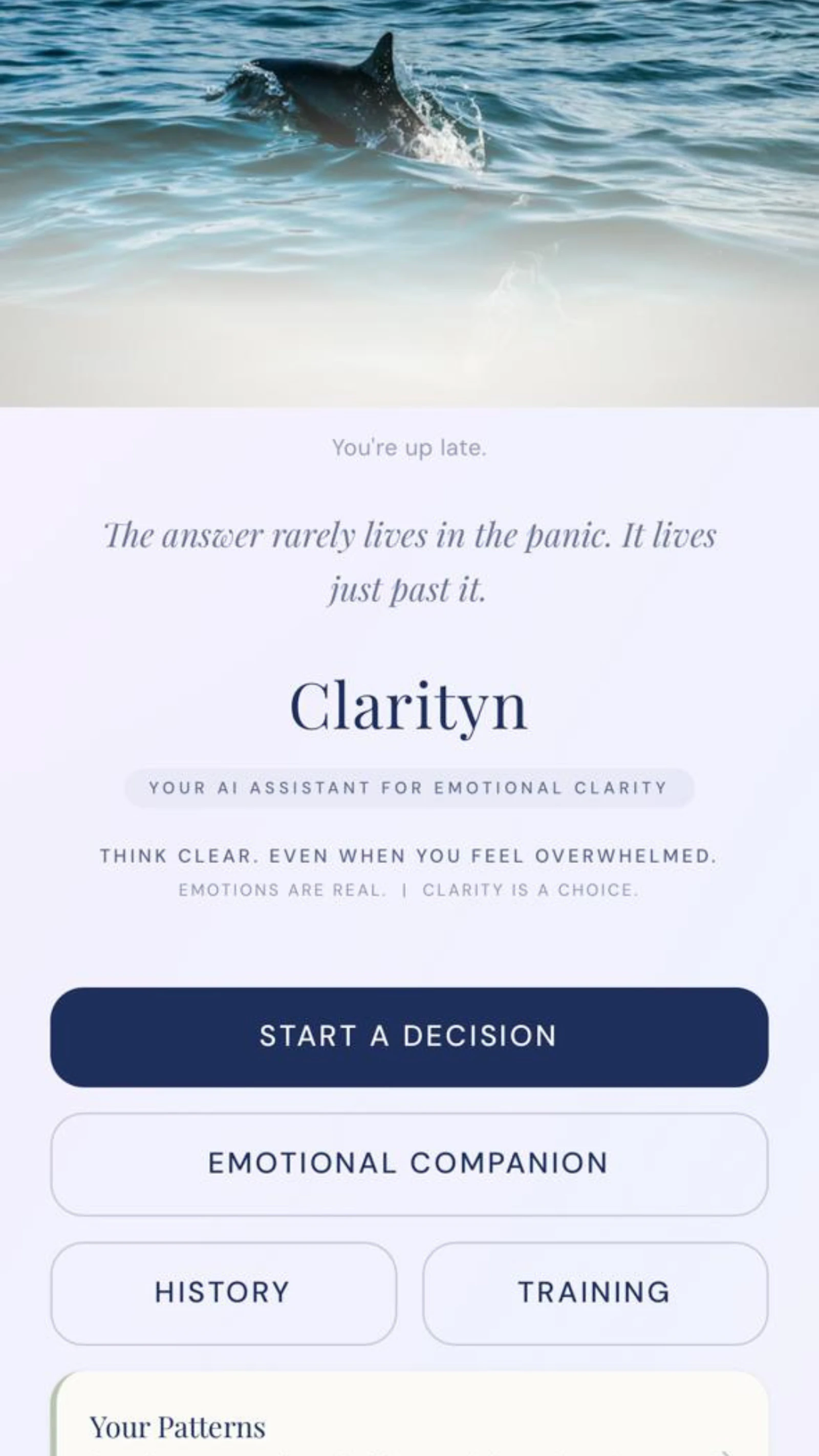 Clarityn — AI Assistant screenshot 1