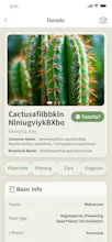 Plant identification and diagnosis gallery image