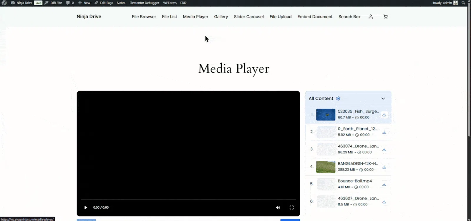 Ninja Drive - Google Drive for WordPress screenshot 7